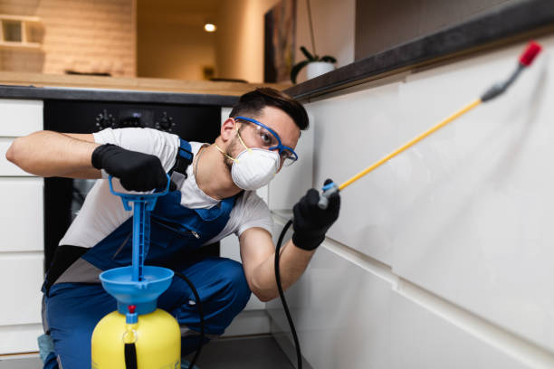 Best Termite Control Services  in New Braunfels, TX