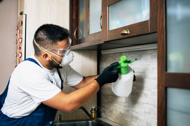 Best Affordable Pest Control Services  in New Braunfels, TX
