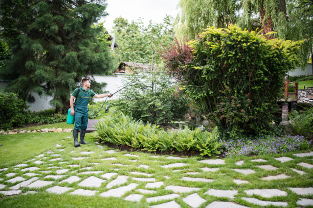 Best Commercial Pest Control Services  in New Braunfels, TX