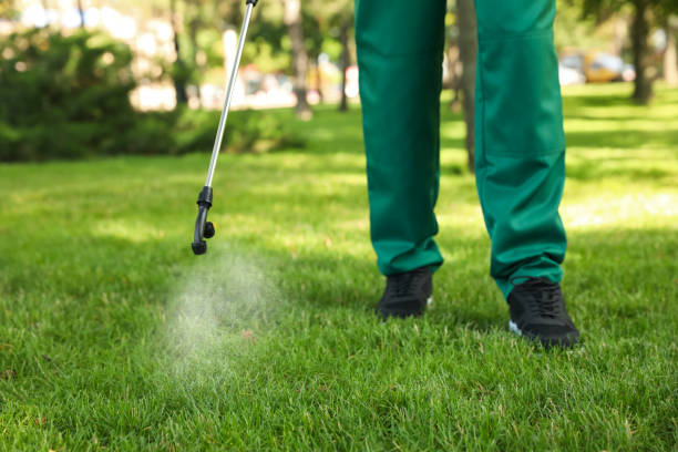Best Local Pest Control Services  in New Braunfels, TX