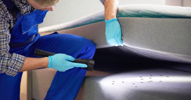 Best Pest Control Near Me  in New Braunfels, TX