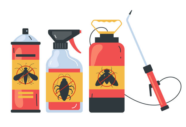 Best Cockroach Control Services  in New Braunfels, TX
