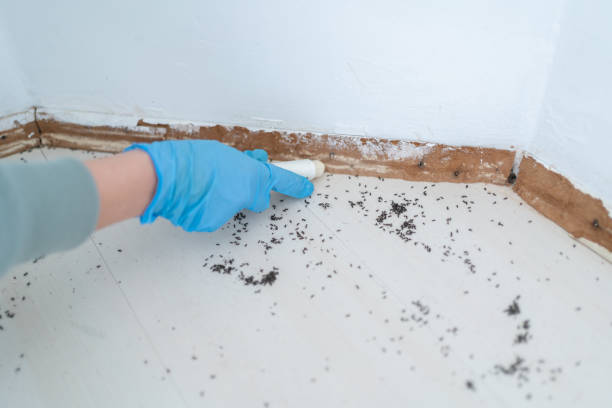 Best Wildlife Control Services  in New Braunfels, TX